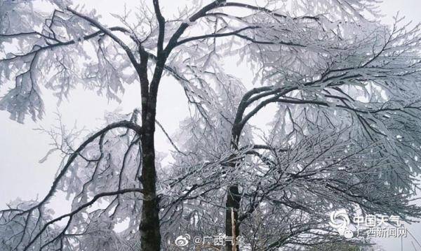 电地暖价格 广西东北部有霜冻或冰冻，电暖器价格略有上涨，你买好了吗？